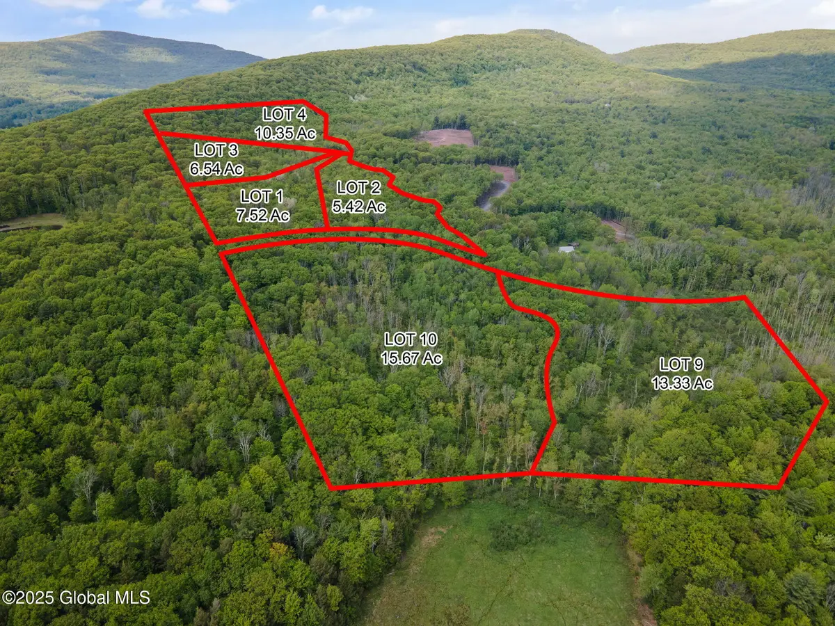 2 Lot Galway Rd, Windham, NY 12496 - Image #1