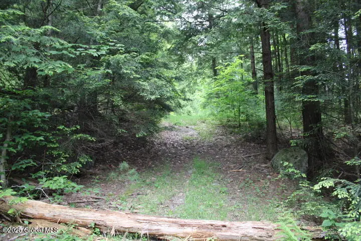 L 30.1 Pucker Street, Warrensburg, NY 12885 - Image #3