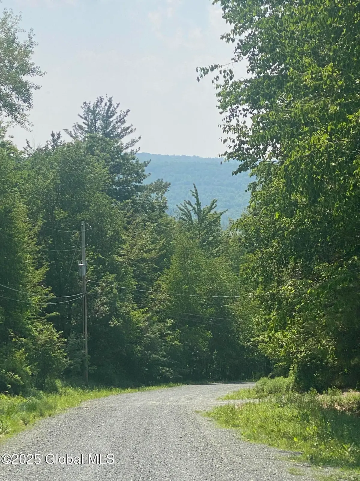 L20.44 Robinson Hollow Way, Stephentown, NY 12168 - Image #1