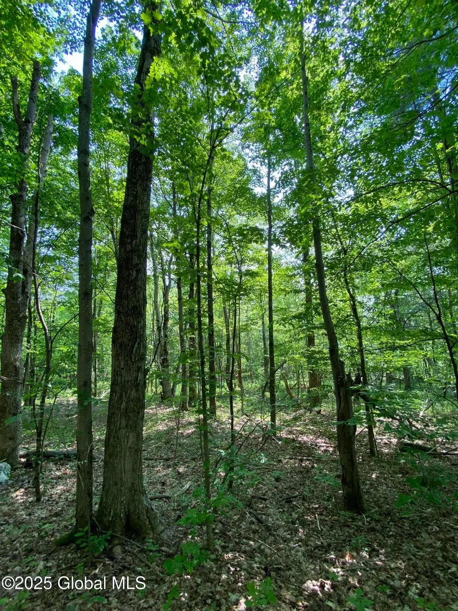 L20.44 Robinson Hollow Way, Stephentown, NY 12168 - Image #3