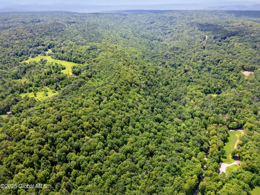 255 Lassen Road, Broome, NY 12122 - Image #2