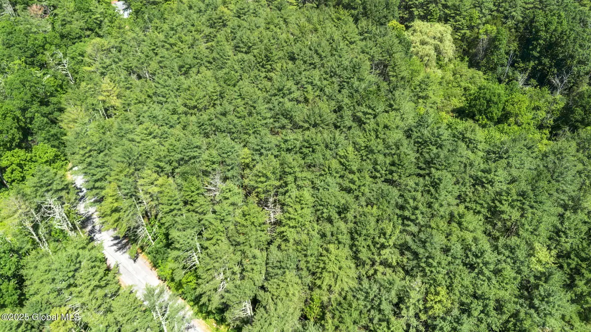 L4 Circle Drive, Cairo, NY 12413 - Image #1