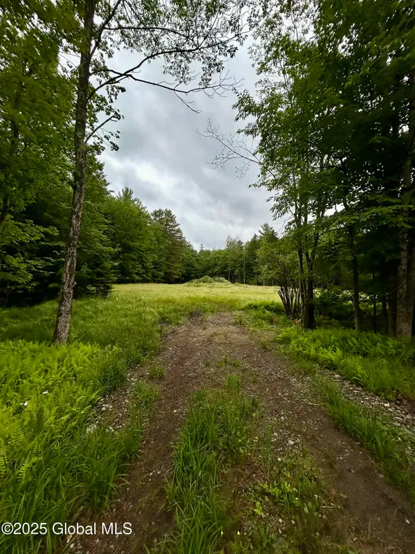 L1 Persch Road, Bleecker, NY 12078