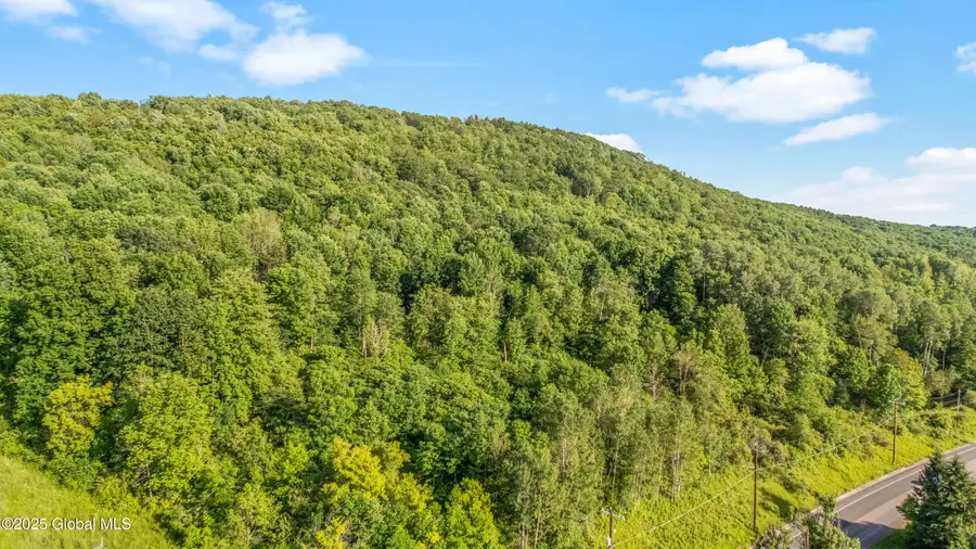 L31.1 County Rd 32, Norwich, NY 13815 - Image #2