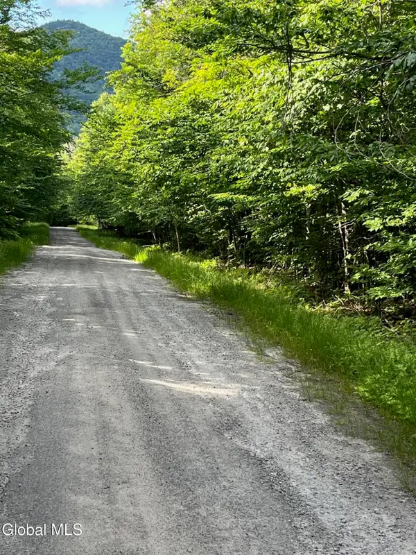 L81.112 Ruby Mountain View Drive, Johnsburg, NY 12856