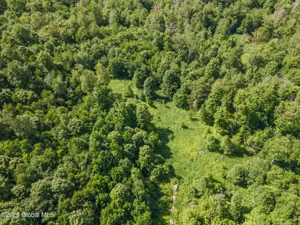 L4 Harvish Road, Jefferson, NY 12167