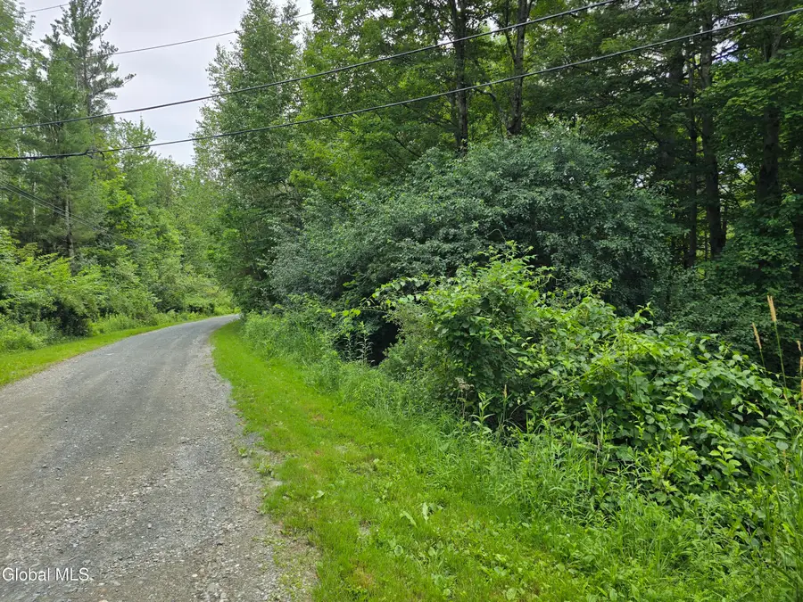 L20.45 Robinson Hollow Way, Stephentown, NY 12168 - Image #2