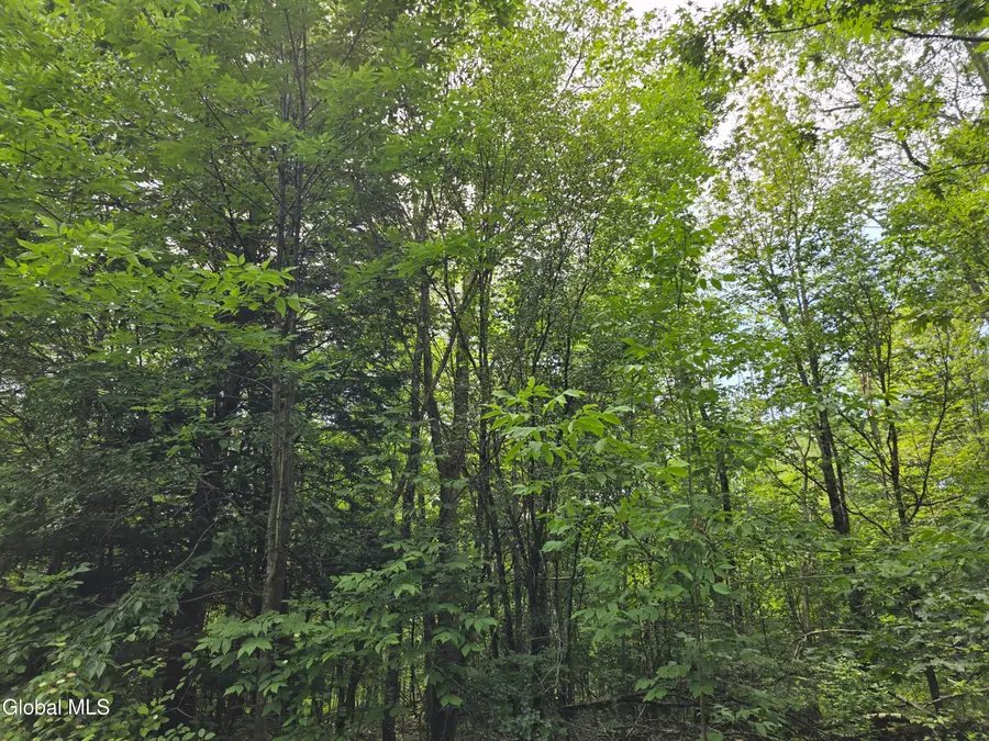 L20.45 Robinson Hollow Way, Stephentown, NY 12168 - Image #3