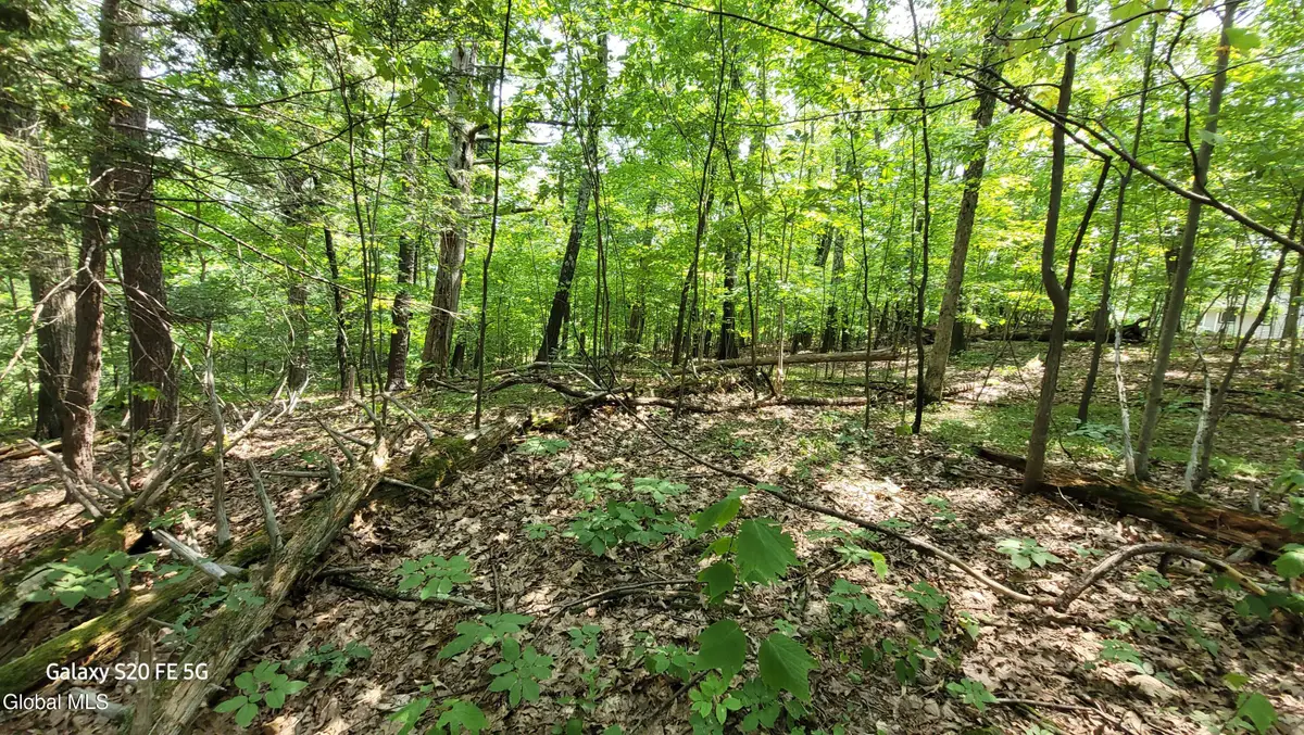 50 Finger Hill Road, Saugerties, NY 12477 - Image #1