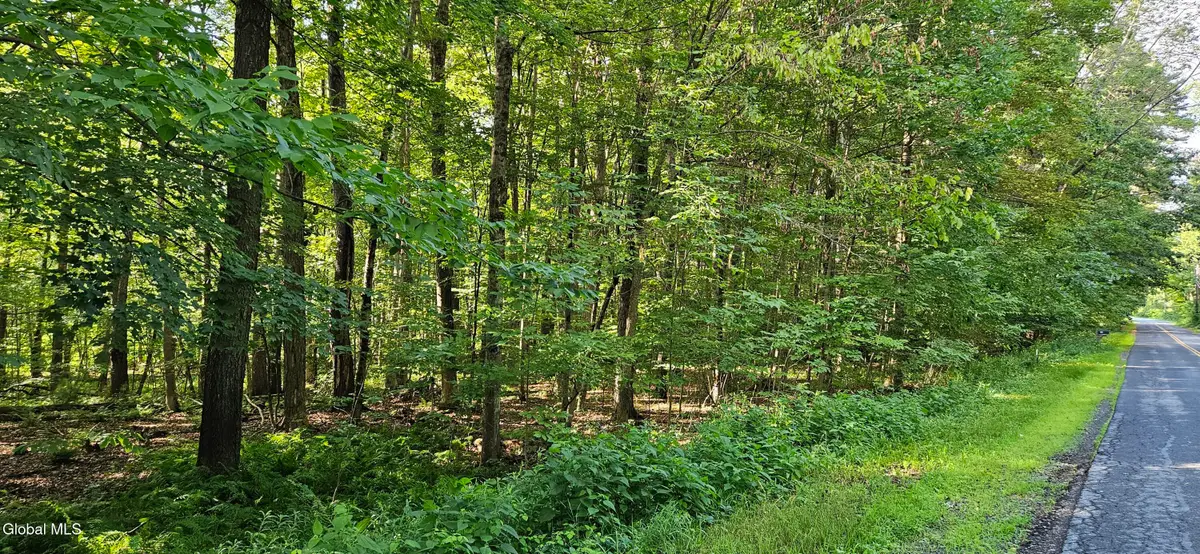 L68.3 Bumphill Road, Greenfield, NY 12833 - Image #1