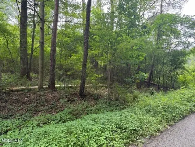 L122.01 Overlook Lane, Duanesburg, NY 12056 - Image #1