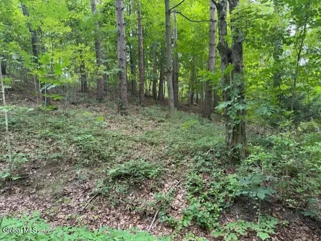 L122.01 Overlook Lane, Duanesburg, NY 12056 - Image #2