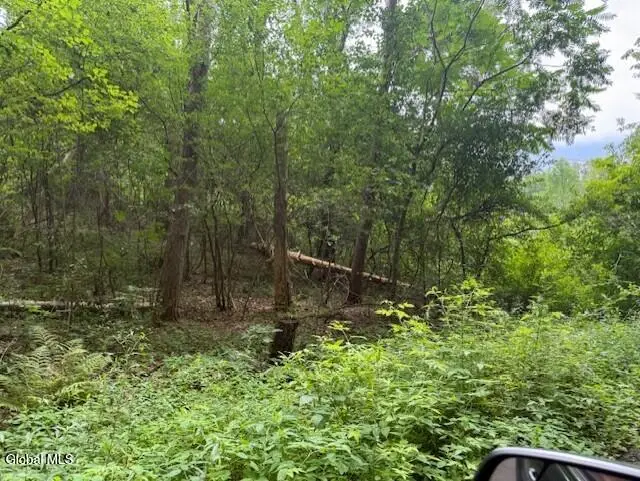 L122.01 Overlook Lane, Duanesburg, NY 12056 - Image #3