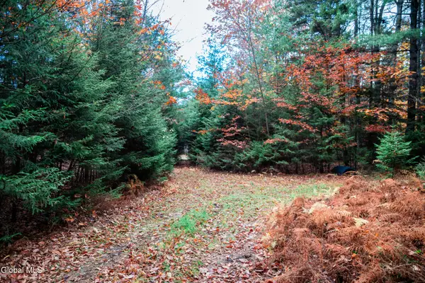 L4.123 Off Eminence Road, Summit, NY 12175