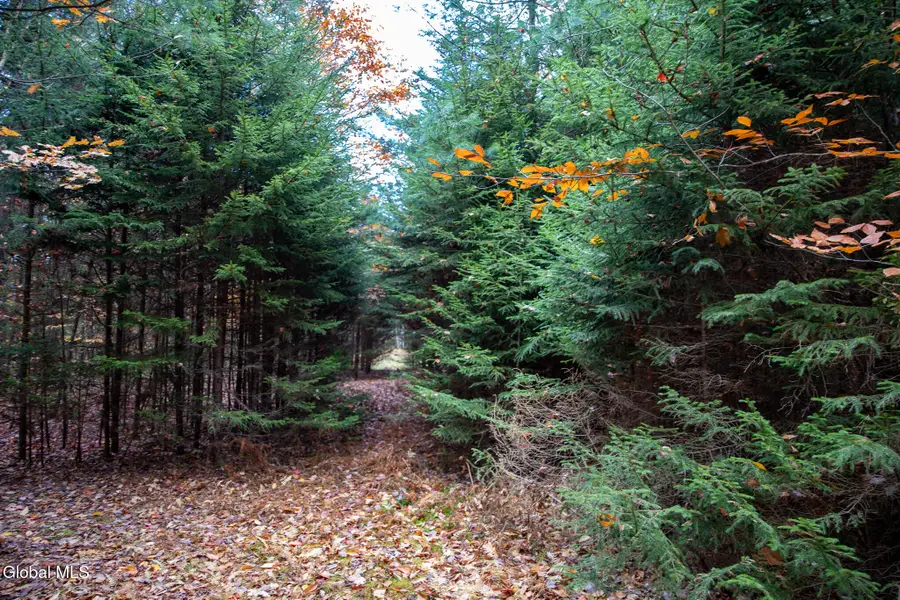 L4.123 Off Eminence Road, Summit, NY 12175 - Image #2