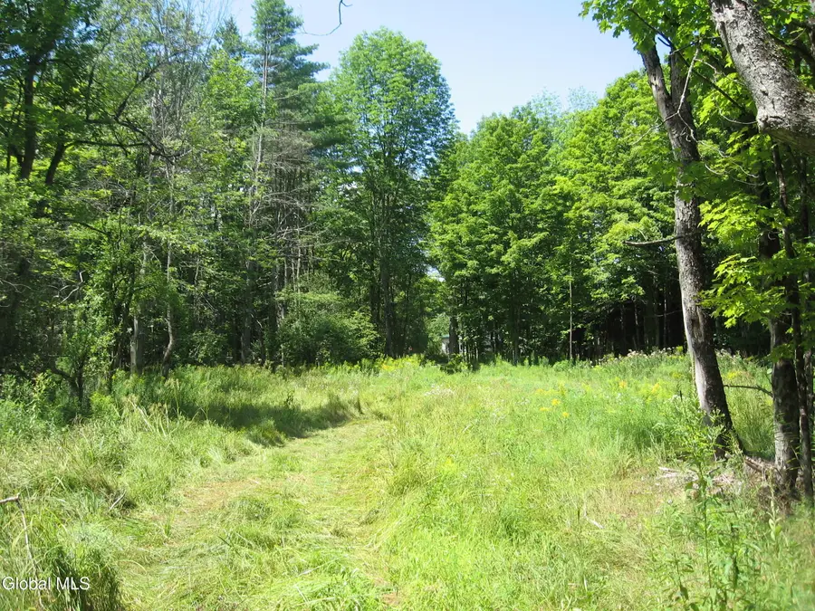 1260 Valentine Pond Road, Adirondack, NY 12808 - Image #3