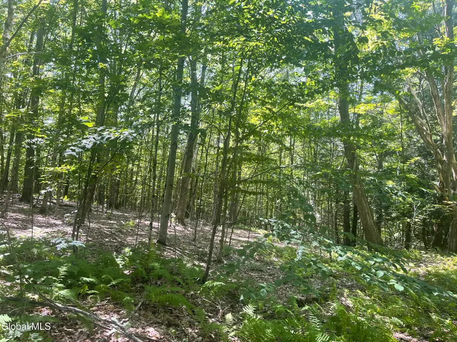 L4.15 Ny 22, Berlin, NY 12022 - Image #3