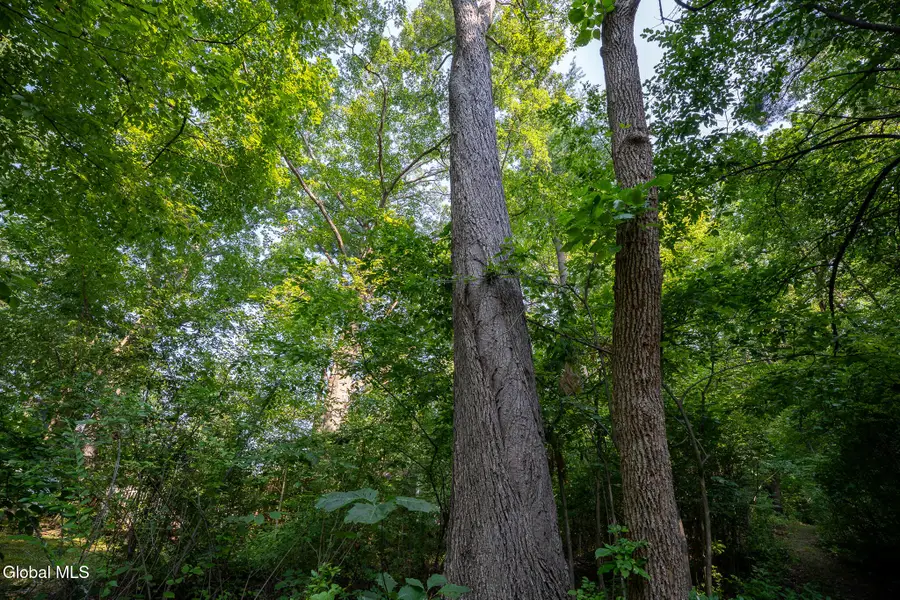 47 Wheeler Road, Glenmont, NY 12077 - Image #3