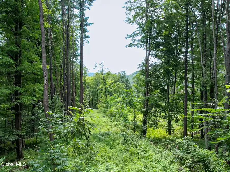 111 Blossom Hill Road, Coeymans, NY 12143 - Image #3