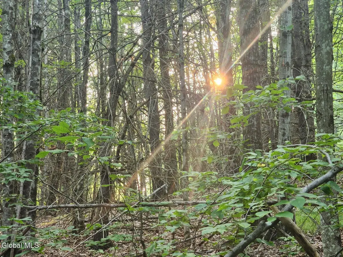 L-11 Rebel Rdg, Jefferson, NY 12093 - Image #1