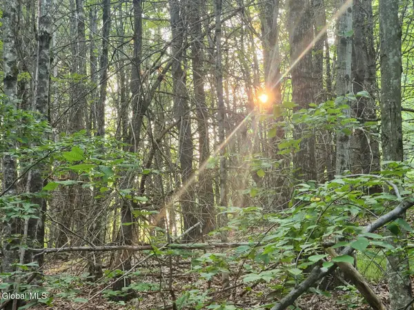 L-11 Rebel Rdg, Jefferson, NY 12093