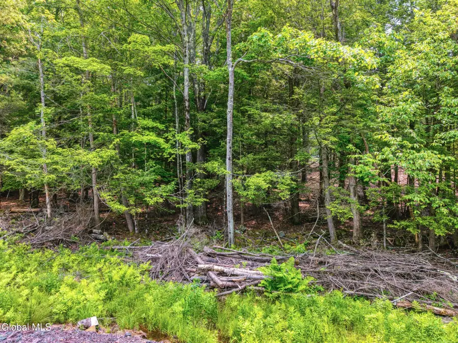 TBD Boulder Brook Road #Lot  13, Windham, NY 12496 - Image #3