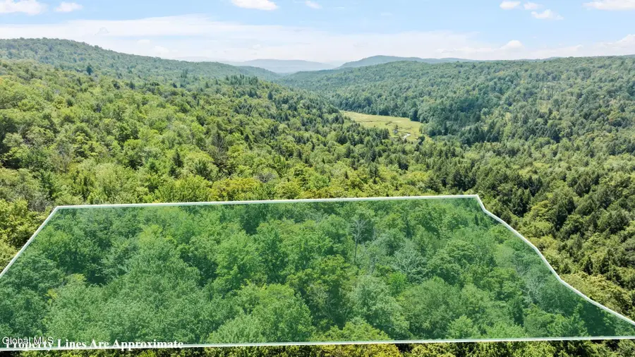 L21.14 Old Town Way, Stephentown, NY 12168 - Image #3