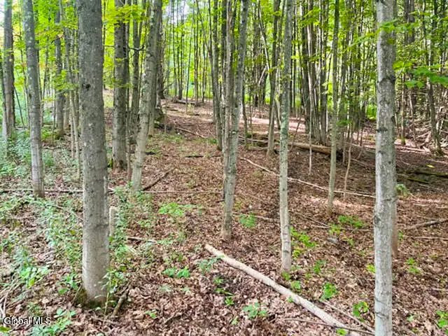 L12.3 Humphrey Road, Fultonville, NY 12072 - Image #3