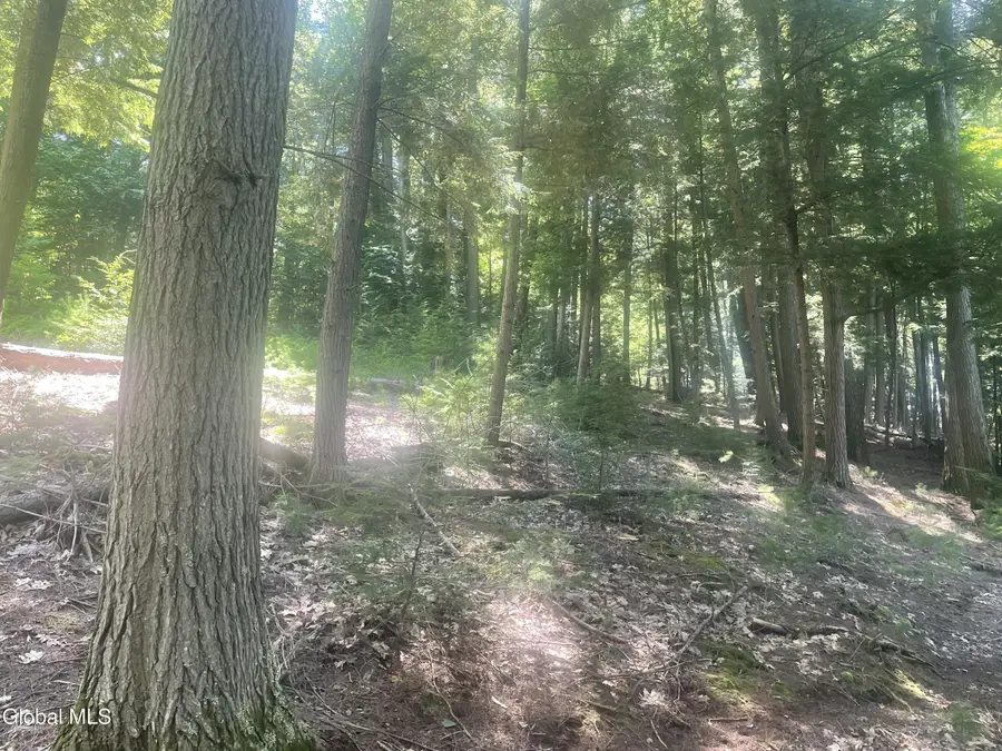 L34 Mountain Lane, Warrensburg Town, NY 12817 - Image #3