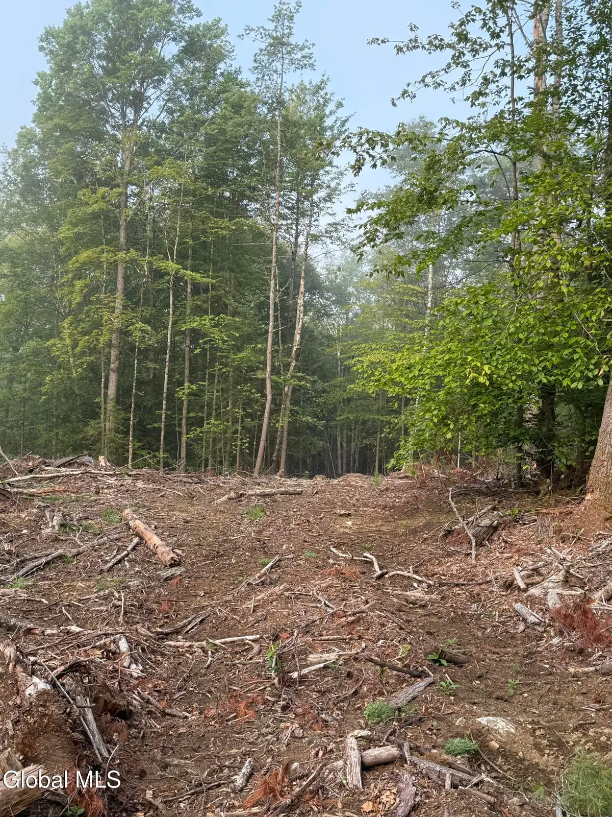 336 Dickinson Hill Road, Diamond Point, NY 12824 - Image #1