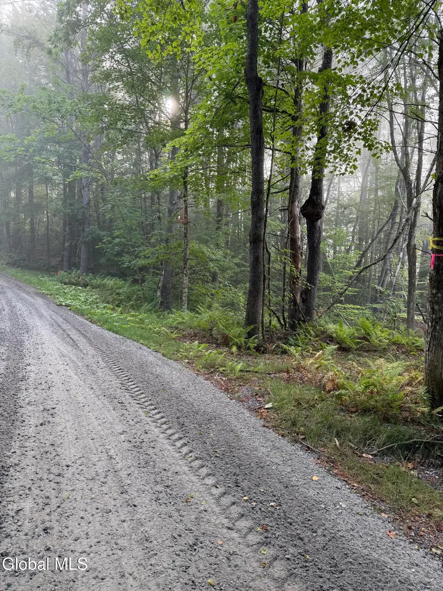 342 Dickinson Hill Road, Diamond Point, NY 12824 - Image #2