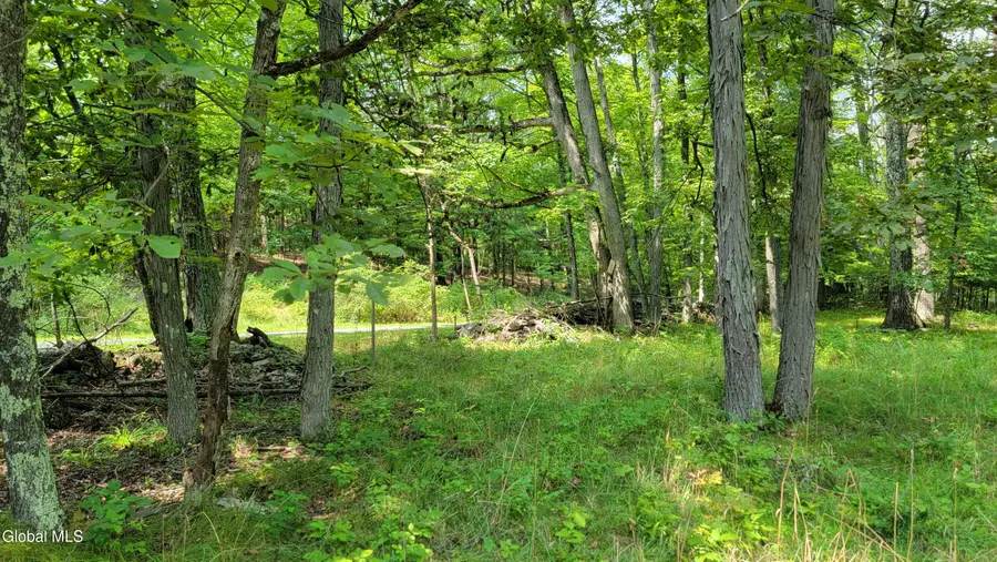 70-76 Joseph Lane, Cairo, NY 12413 - Image #2