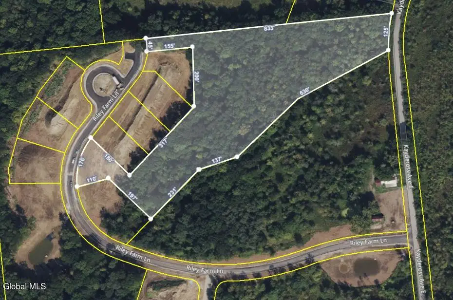 6 Riley Farm Lane, Saratoga Springs, NY 12866 - Image #1