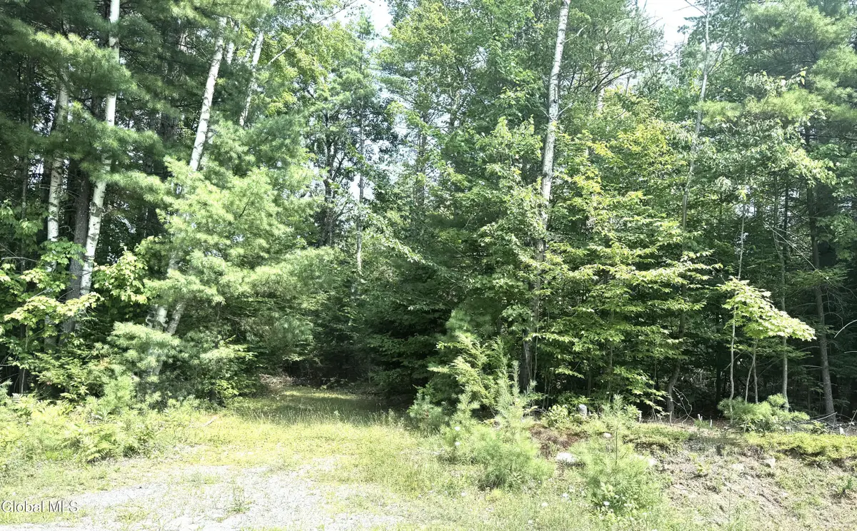 L21 New (off) County Route 11, Bolton, NY 12814 - Image #1