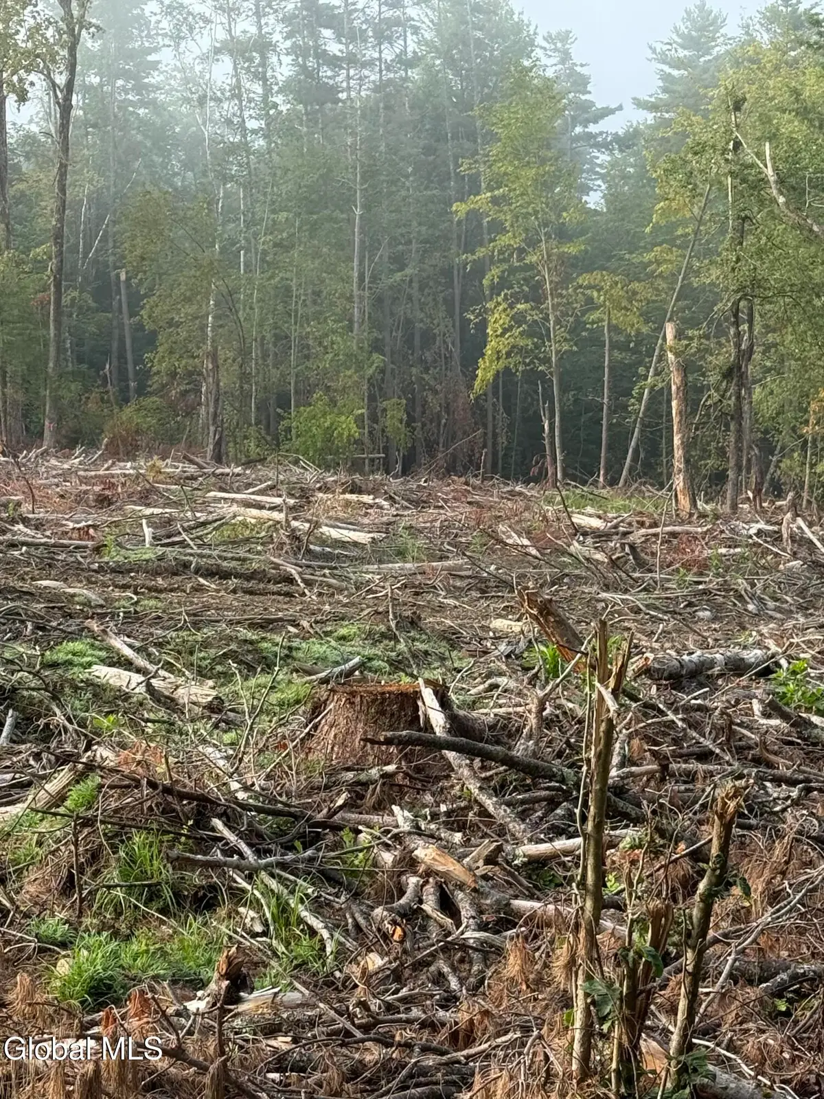 352 Dickinson Hill Road, Diamond Point, NY 12824 - Image #1