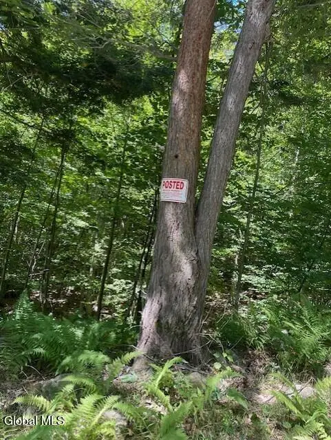 L 11 Horse Hill Rd. Rear Road, Edinburg, NY 12134 - Image #1