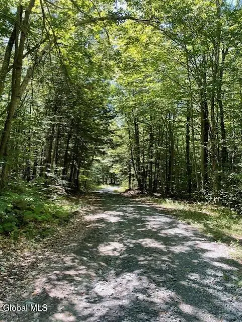 L 11 Horse Hill Rd. Rear Road, Edinburg, NY 12134 - Image #3