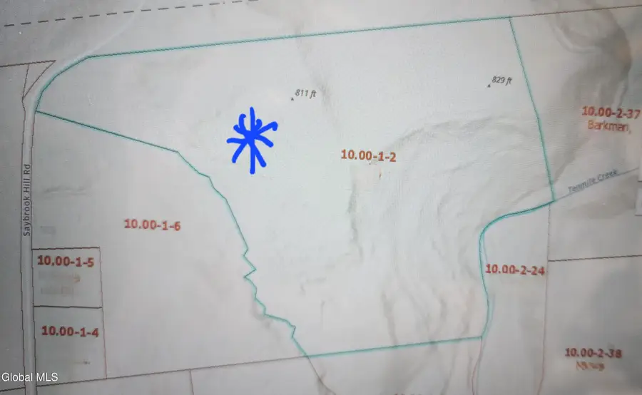 L2 Saybrook Hill Road, Medusa, NY 12460 - Image #3