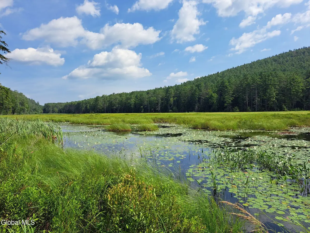 L 15.1 Ny-28, Warrensburg, NY 12885 - Image #1