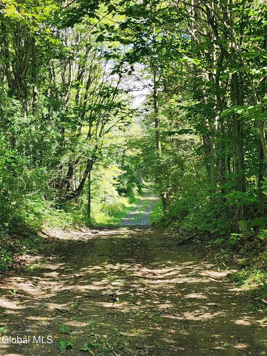 L1.2 Mcmillan Road, Duanesburg Town, NY 12137 - Image #2