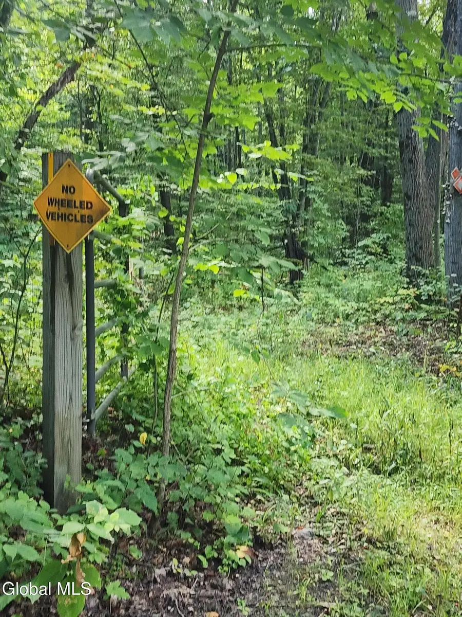 L1.2 Mcmillan Road, Duanesburg Town, NY 12137 - Image #3