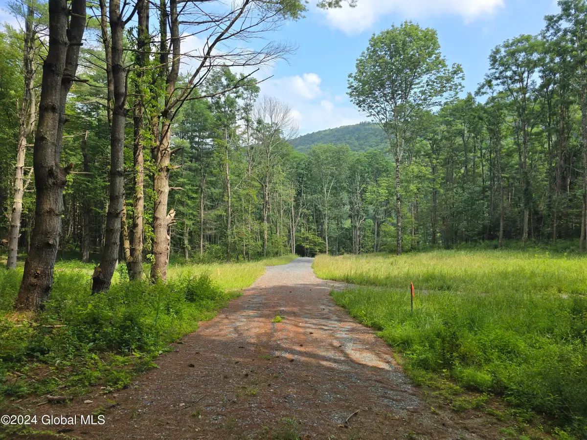 31 Rj Way, Shushan, NY 12873 - Image #1