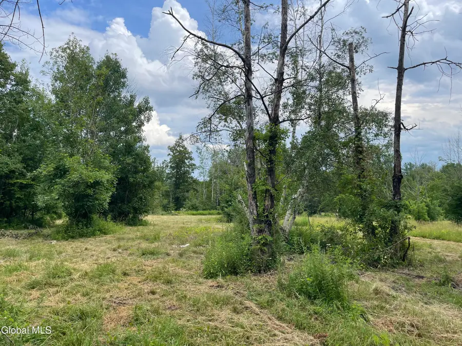 Lot 2 Wagner Road, Glenville, NY 12302 - Image #3