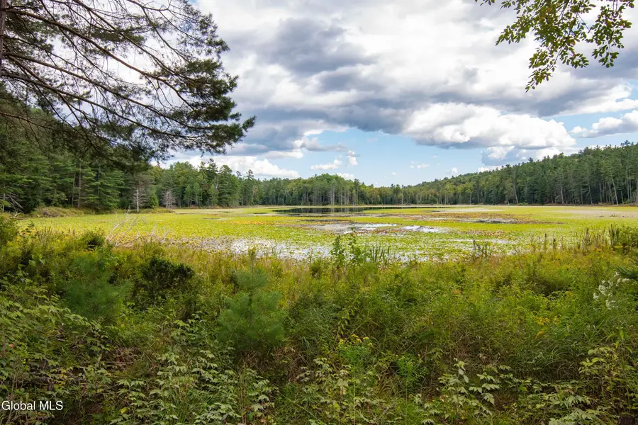 39 Austin Pond Road, Johnsburg, NY 12853 - Image #3