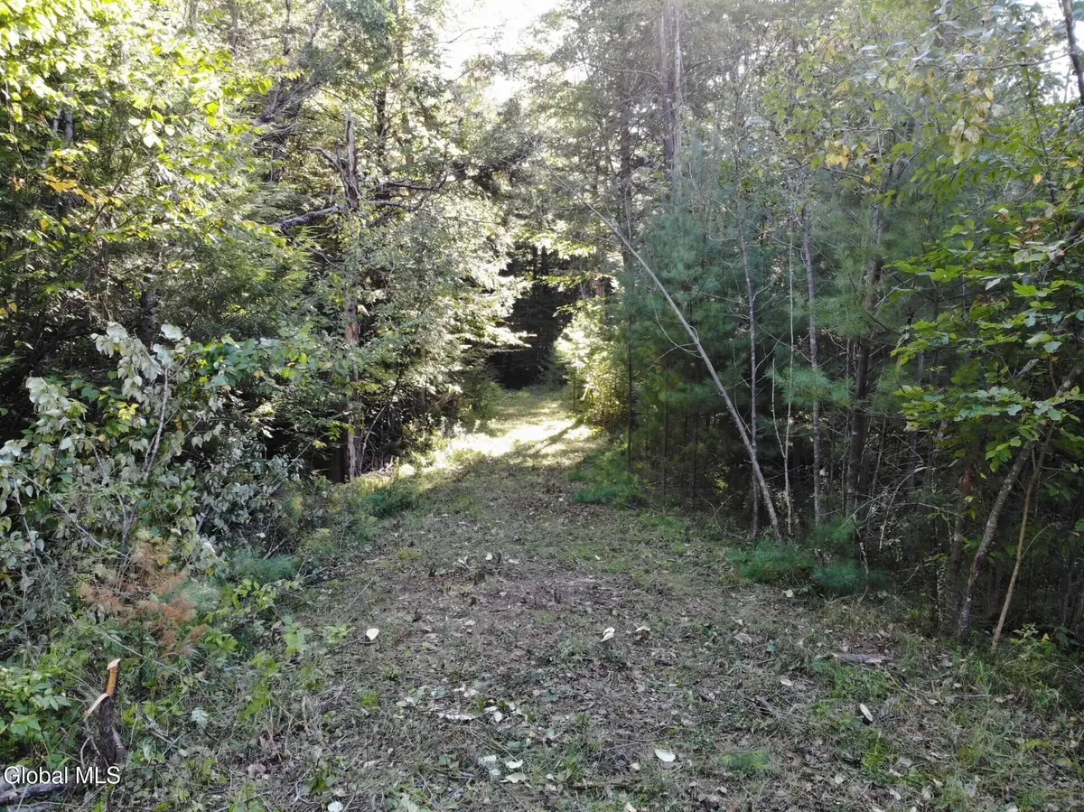 L8 Wrights Farm Road, Bolton, NY 12814 - Image #1