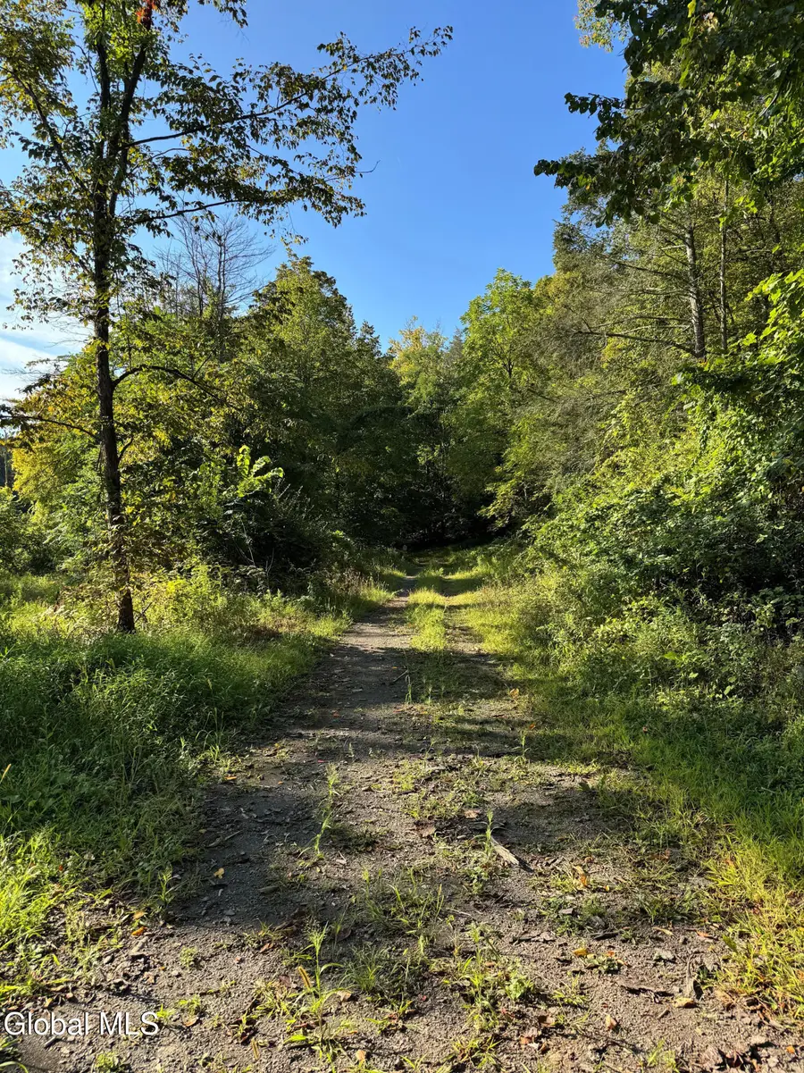 L2 High Rock Road, West Coxsackie, NY 12087 - Image #3