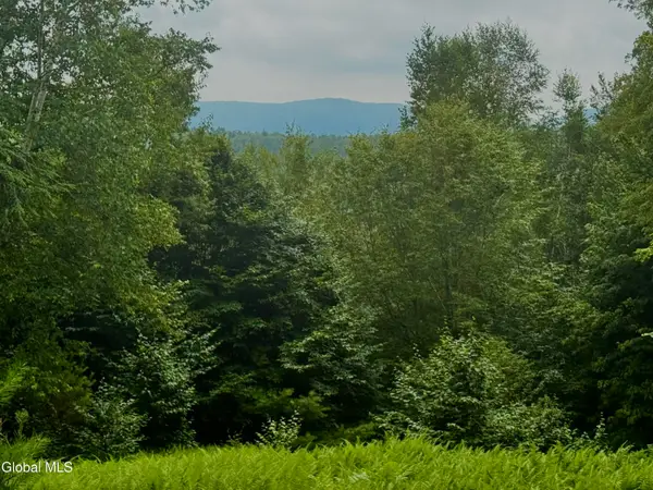 L21.11 Black River Road, Stephentown, NY 12169