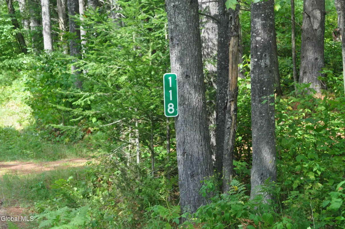 118 Federal Flats Road, Olmstedville, NY 12857 - Image #1