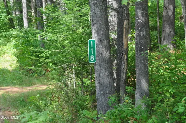 118 Federal Flats Road, Minerva, NY 12857