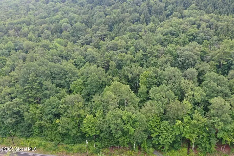 2348 S Shore Road, Day, NY 12835 - Image #3